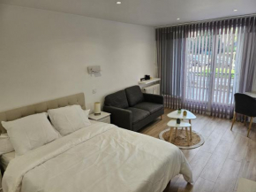 Charmful modern studio, renovated, 30 square meters, close to the Kremlin-Bicetre metro station